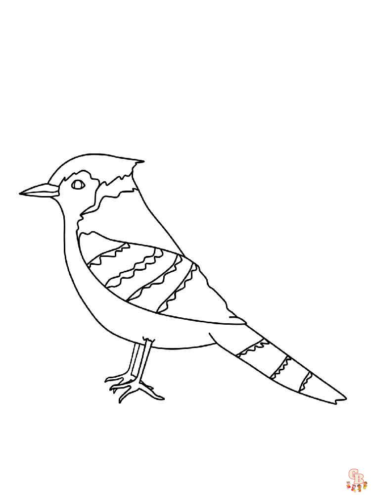Blue Jay Coloring Pages Printable & Free For Kids