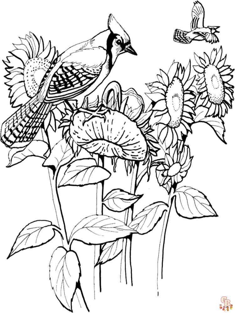 Blue Jay Coloring Pages 4