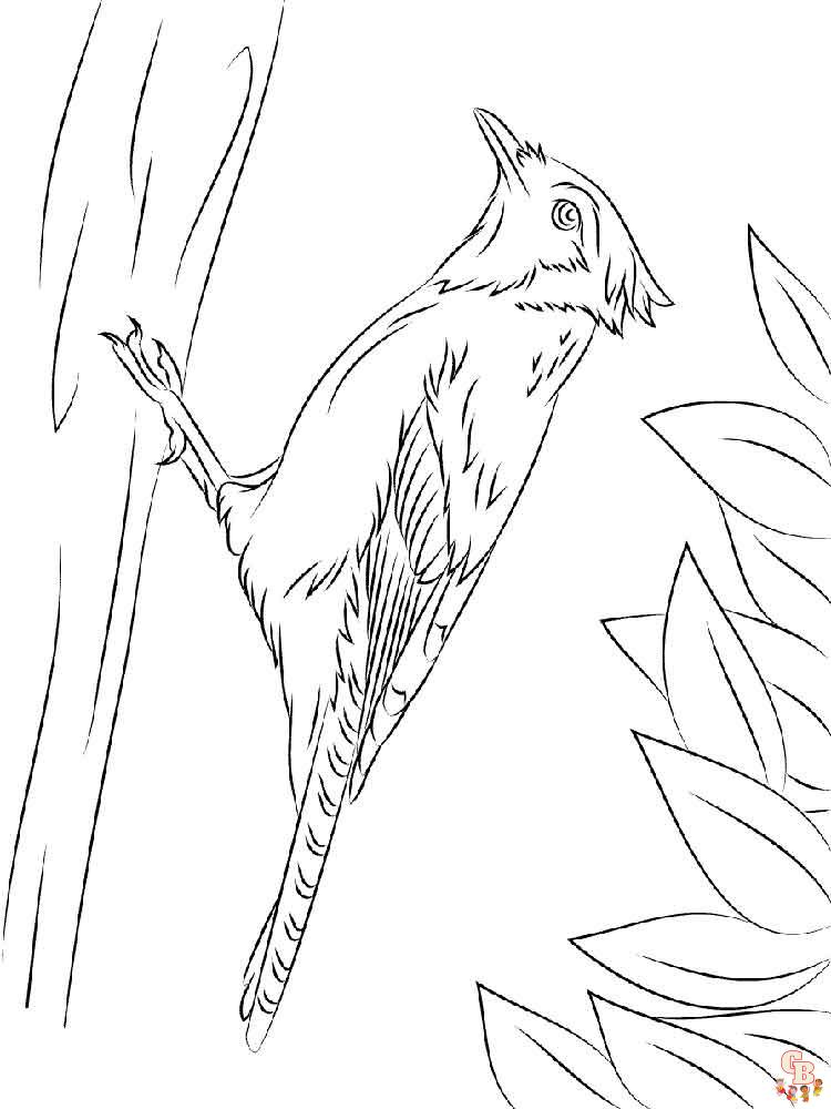 Blue Jay Coloring Pages 5