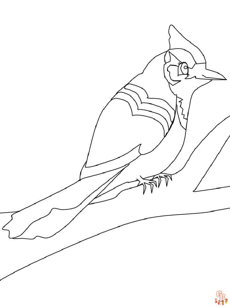Blue Jay Coloring Pages 7