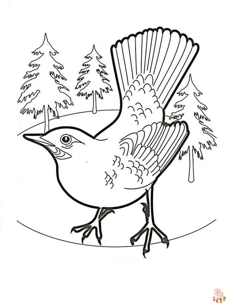 Blue Jay Coloring Pages 9