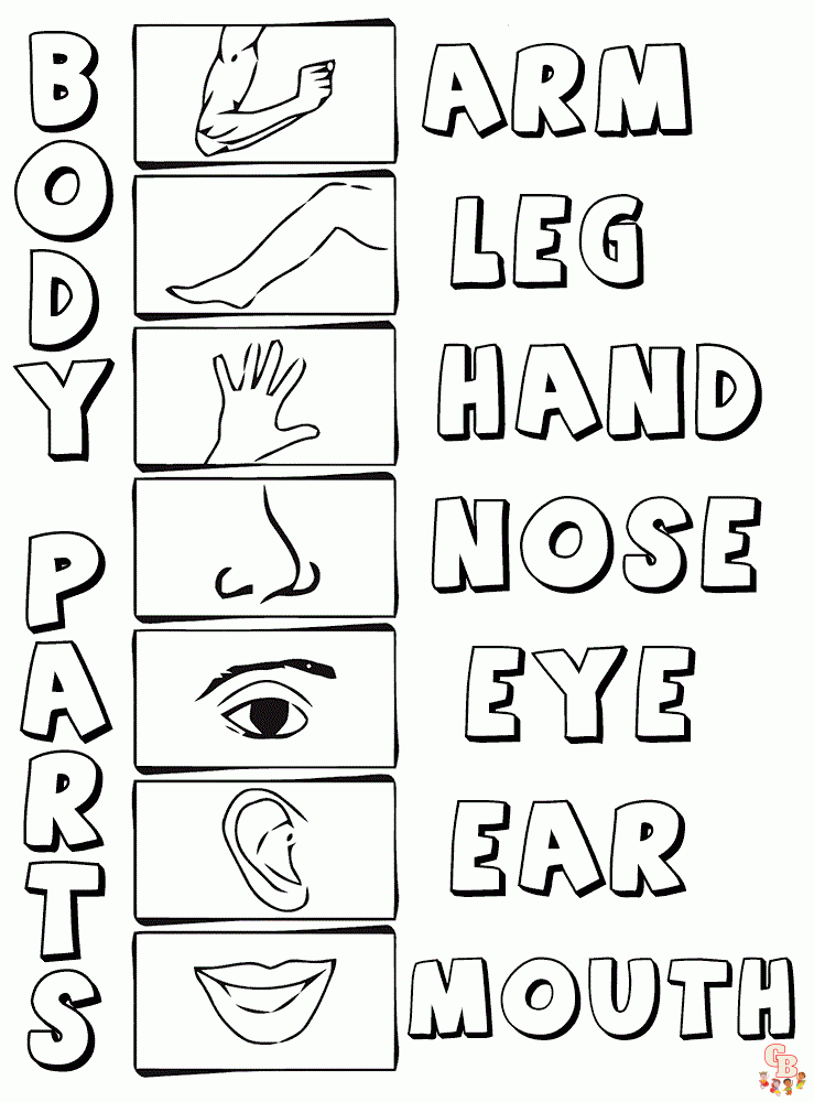 Body Parts Coloring Pages 1