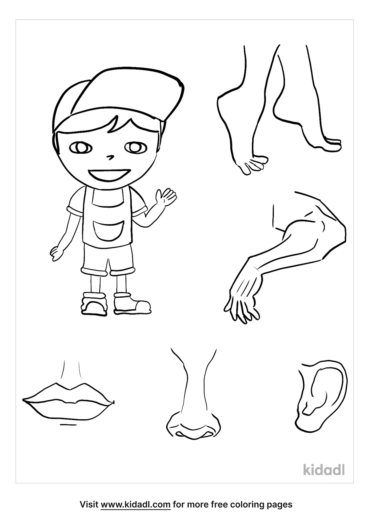 Body Parts for Kids раскраска