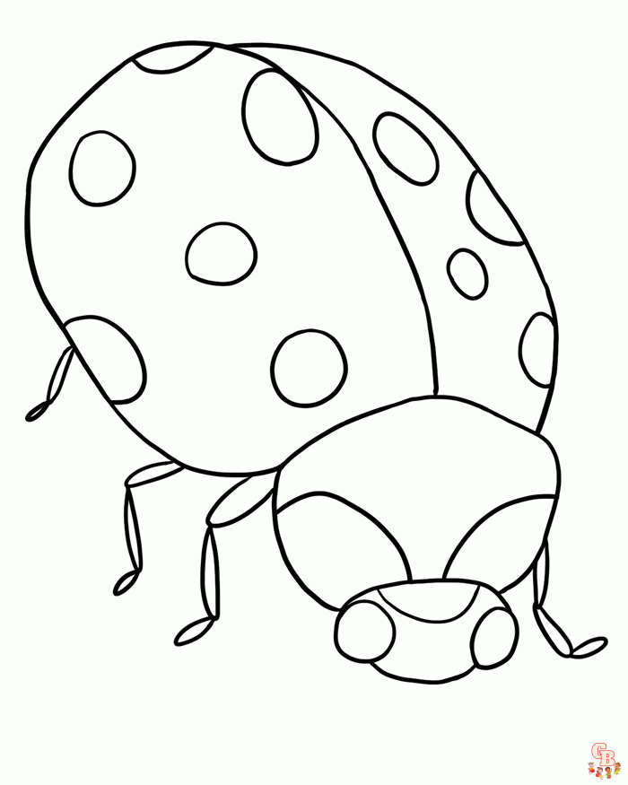 Bug Coloring Pages 1