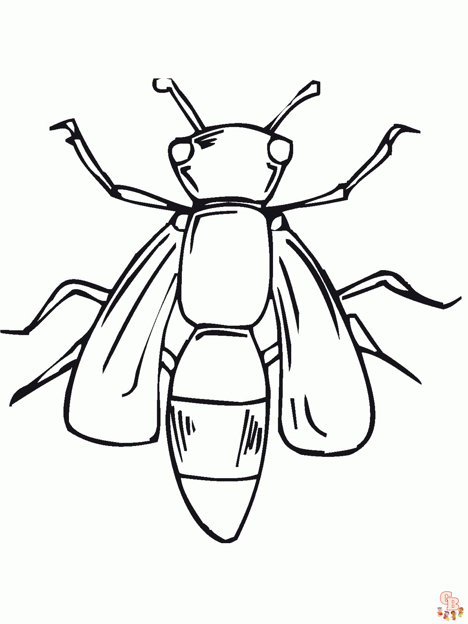 Bug Coloring Pages 3