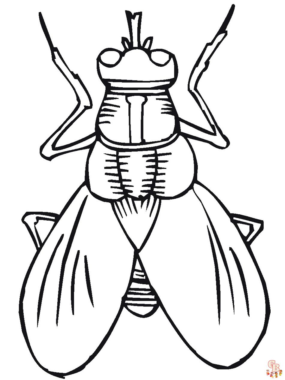 Bugs Coloring Pages 1