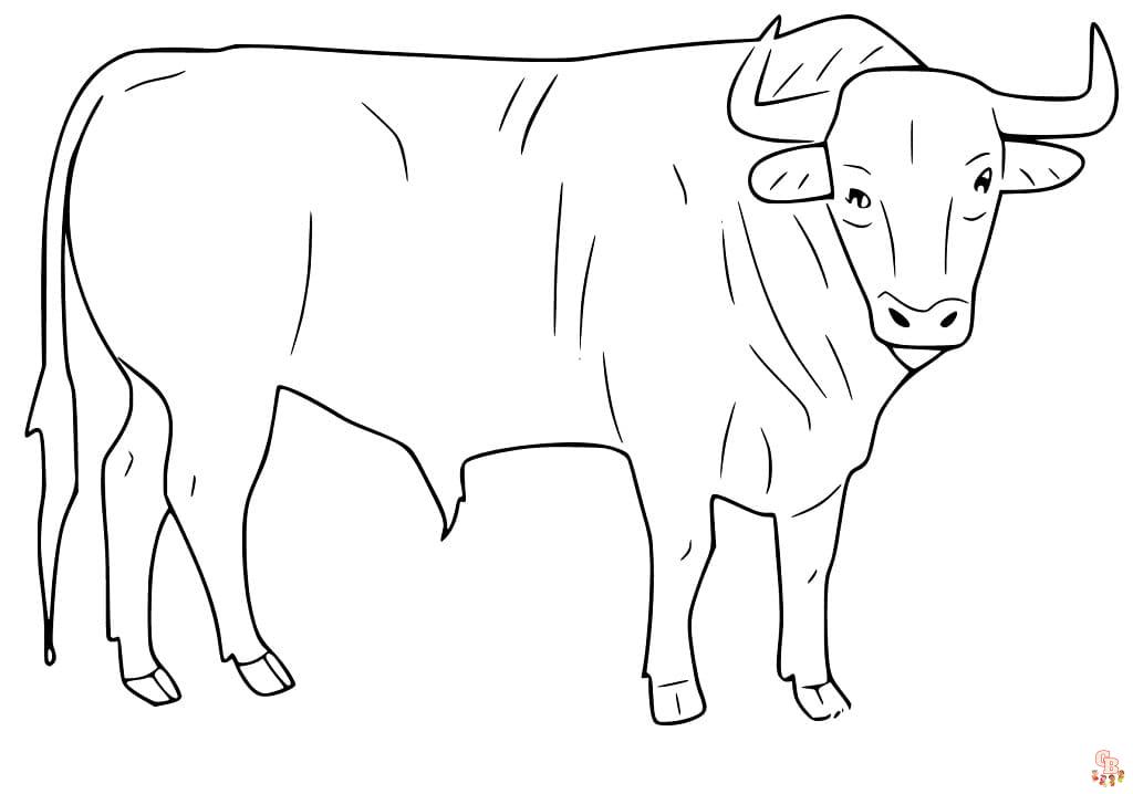 Bull Coloring Pages 4