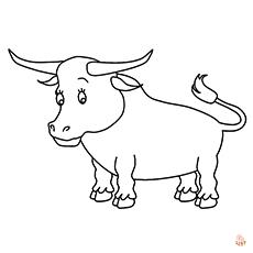 Bull Coloring Pages 5