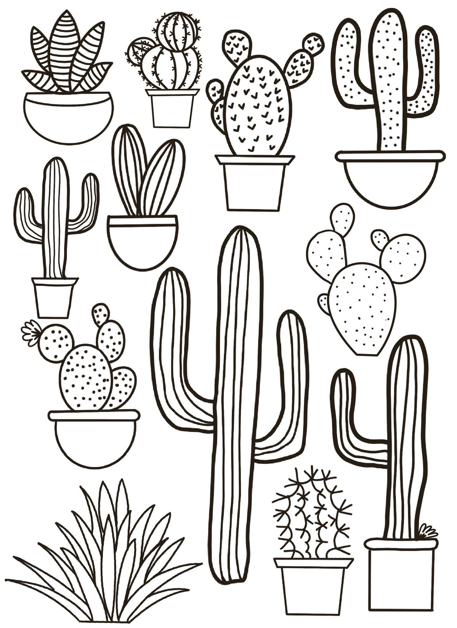 Explore the Beauty of Nature with Free Cactus Coloring Pages