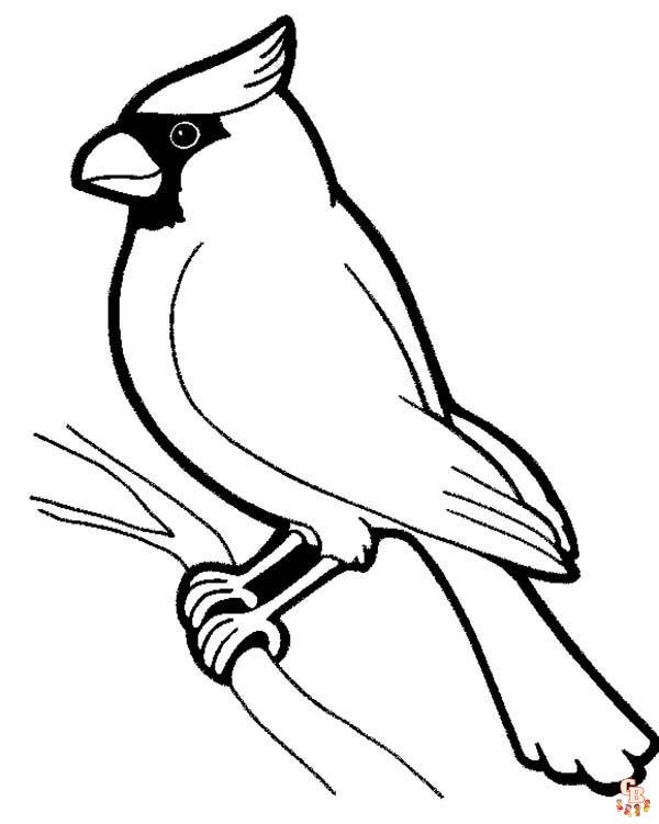 Cardinal Coloring Pages 1