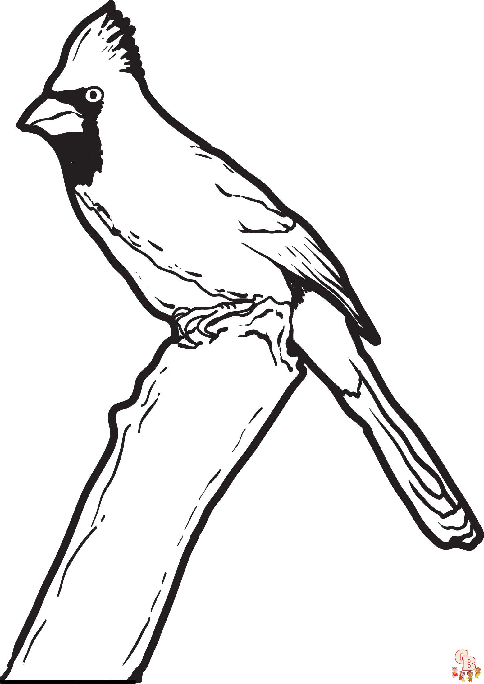 Cardinal Coloring Pages 2