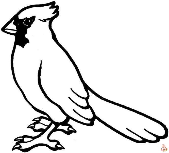 Cardinal Coloring Pages 3