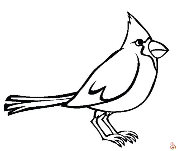 Cardinal Coloring Pages 4