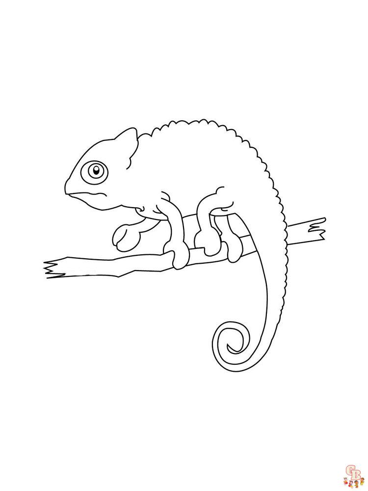 Chameleon Coloring Pages 12