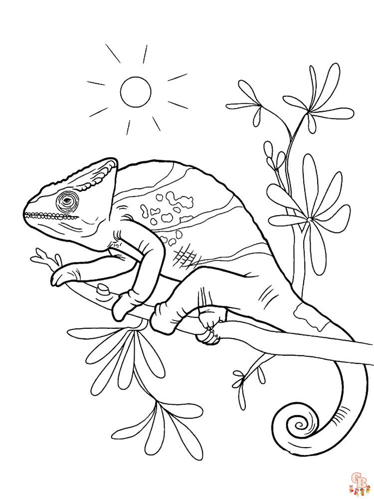 Chameleon Coloring Pages 14