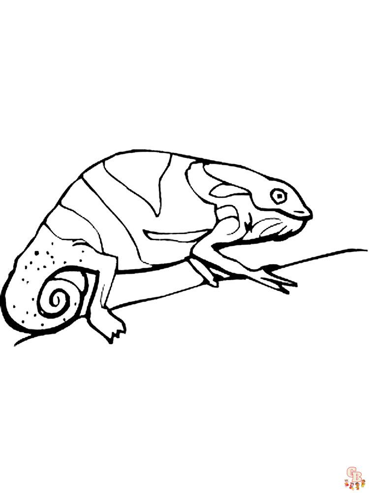 Chameleon Coloring Pages 2