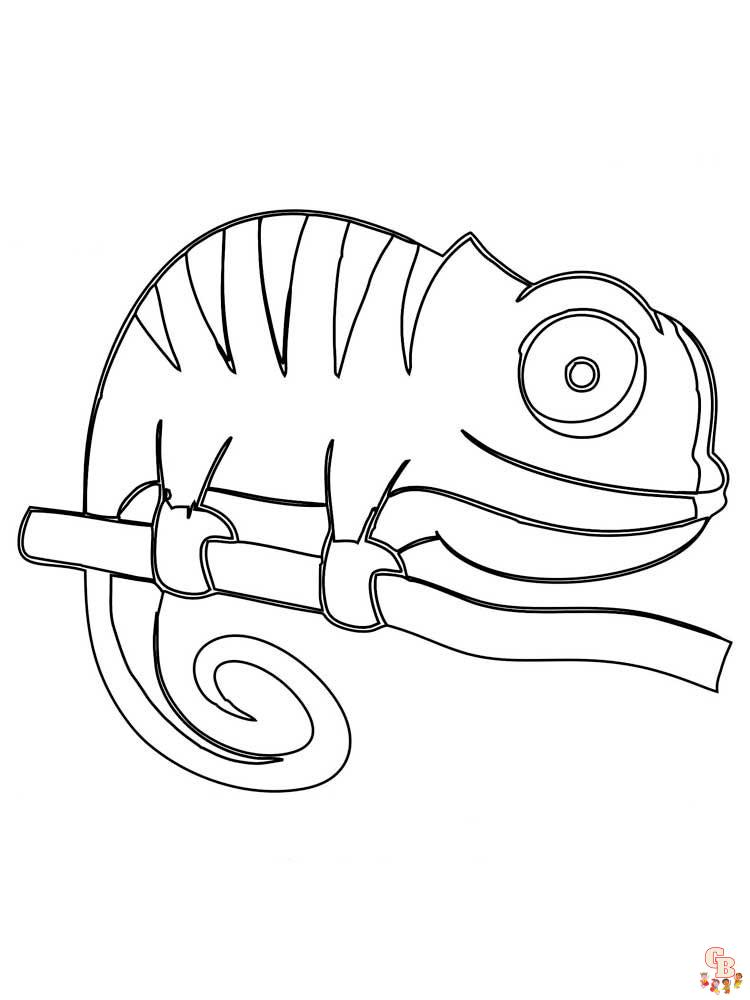 Chameleon Coloring Pages 24