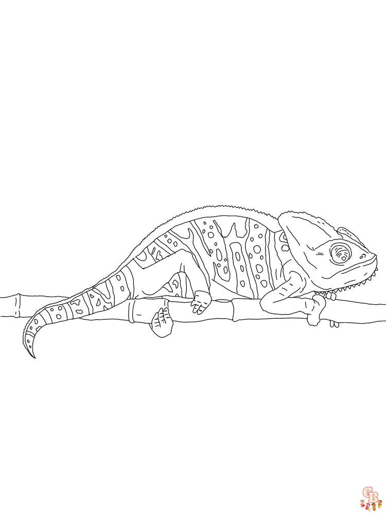 Chameleon Coloring Pages 29