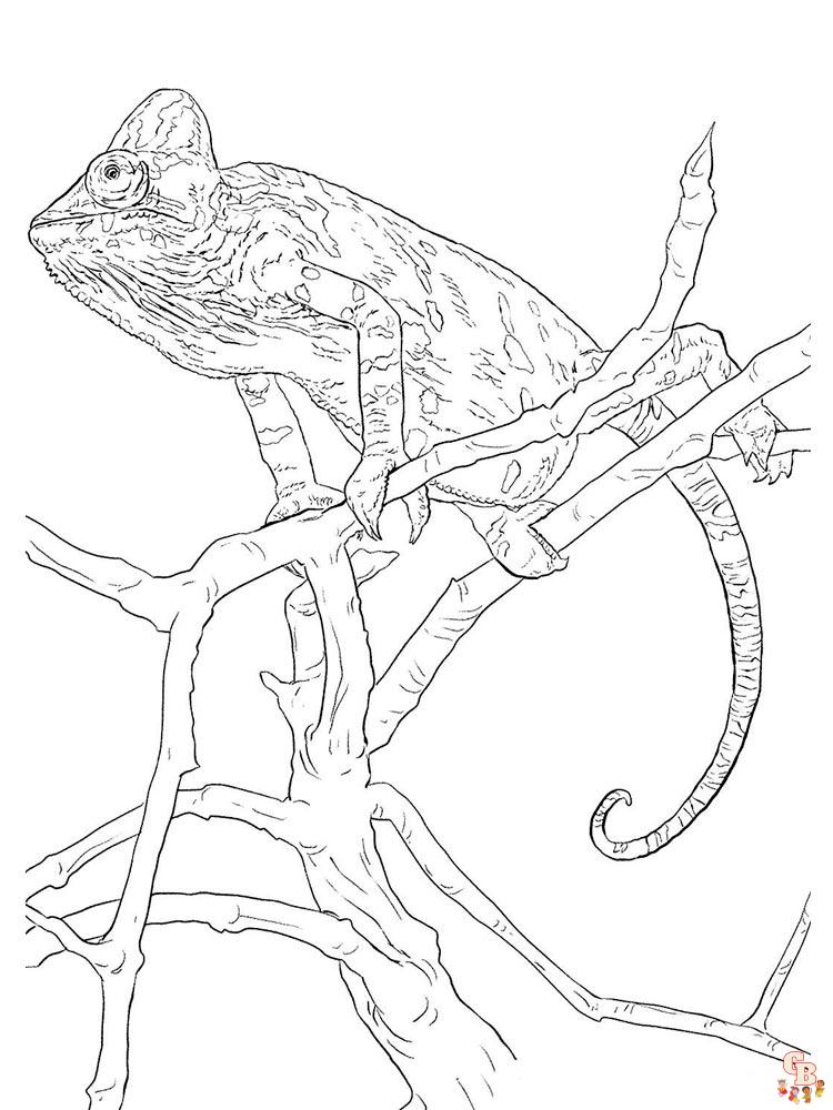 Chameleon Coloring Pages 30