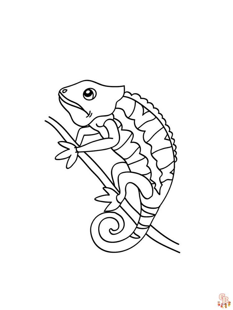 Chameleon Coloring Pages 5