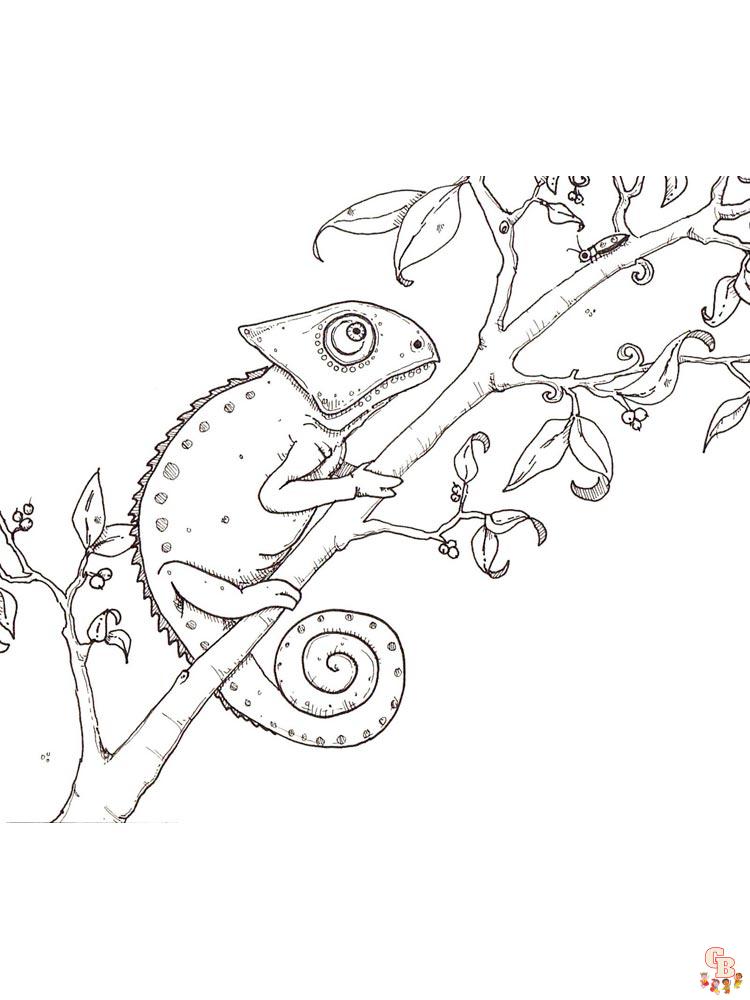 Chameleon Coloring Pages 6
