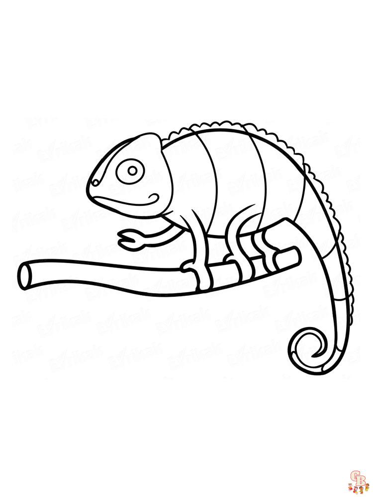 Chameleon Coloring Pages 7