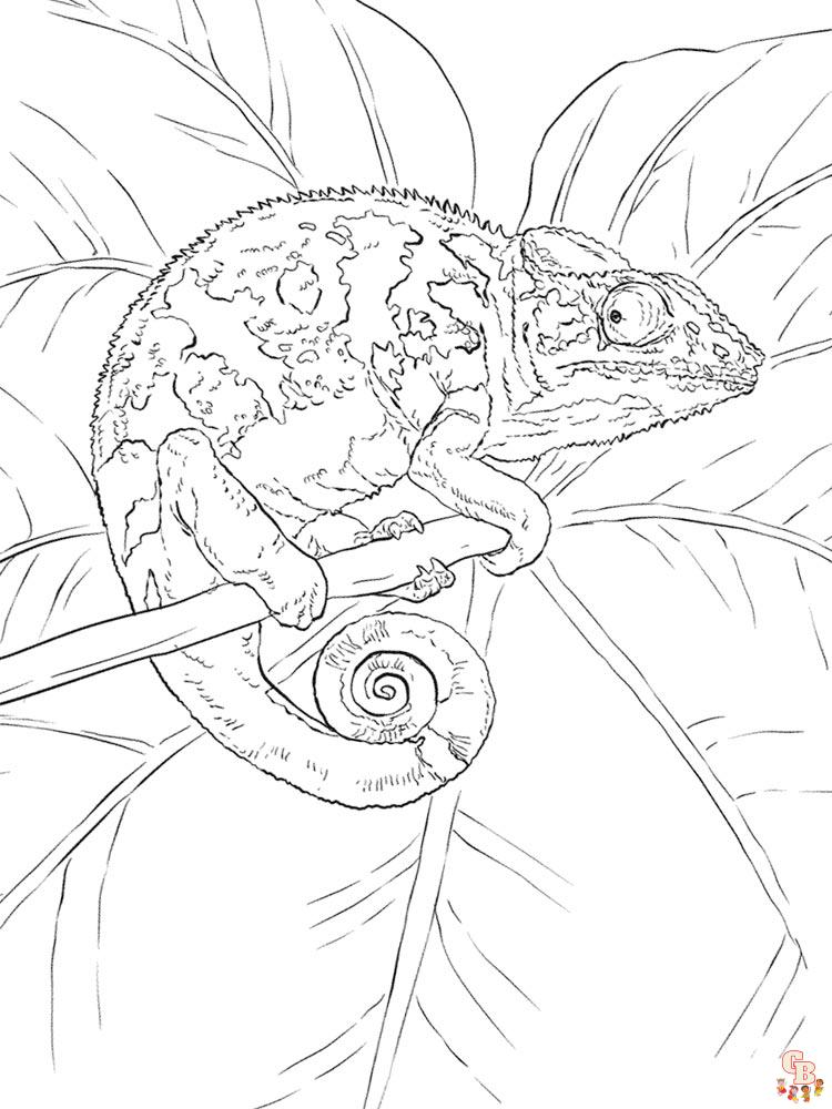 Chameleon Coloring Pages 9