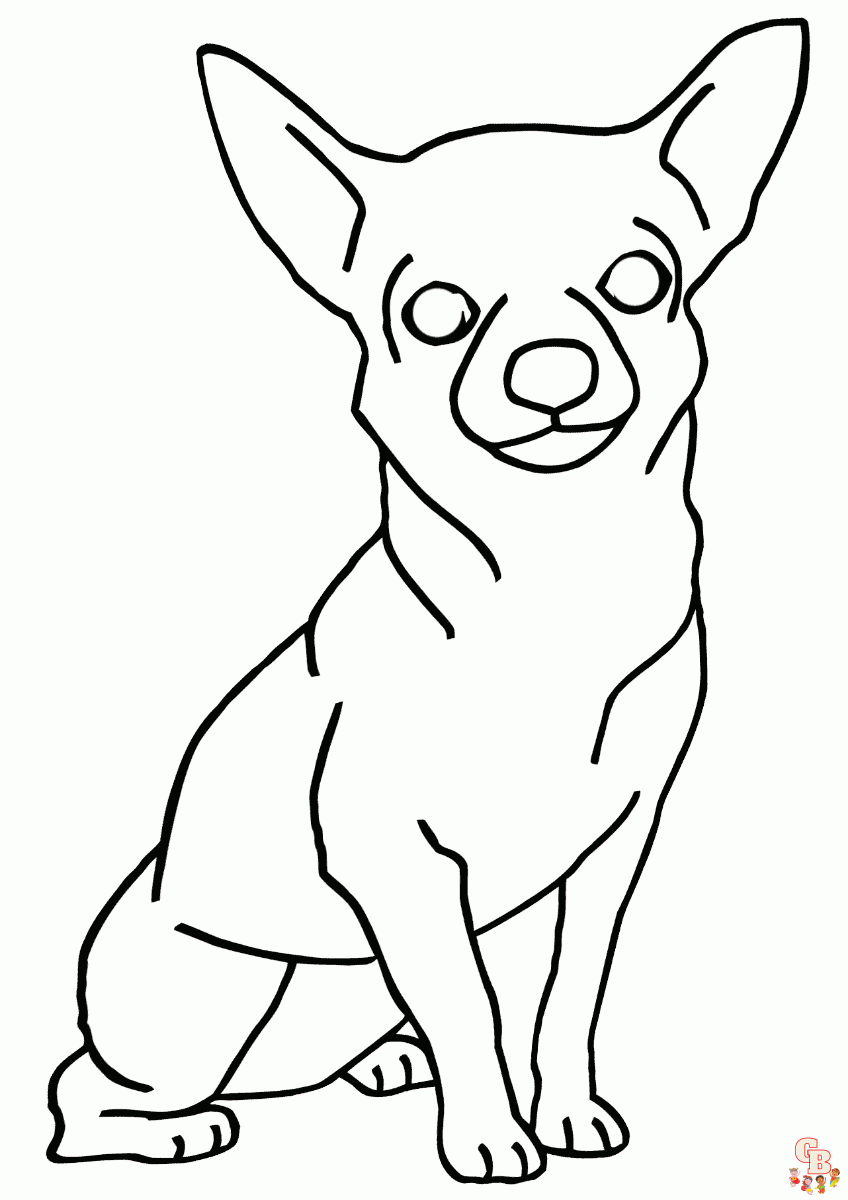 Chihuahua Coloring Pages 2