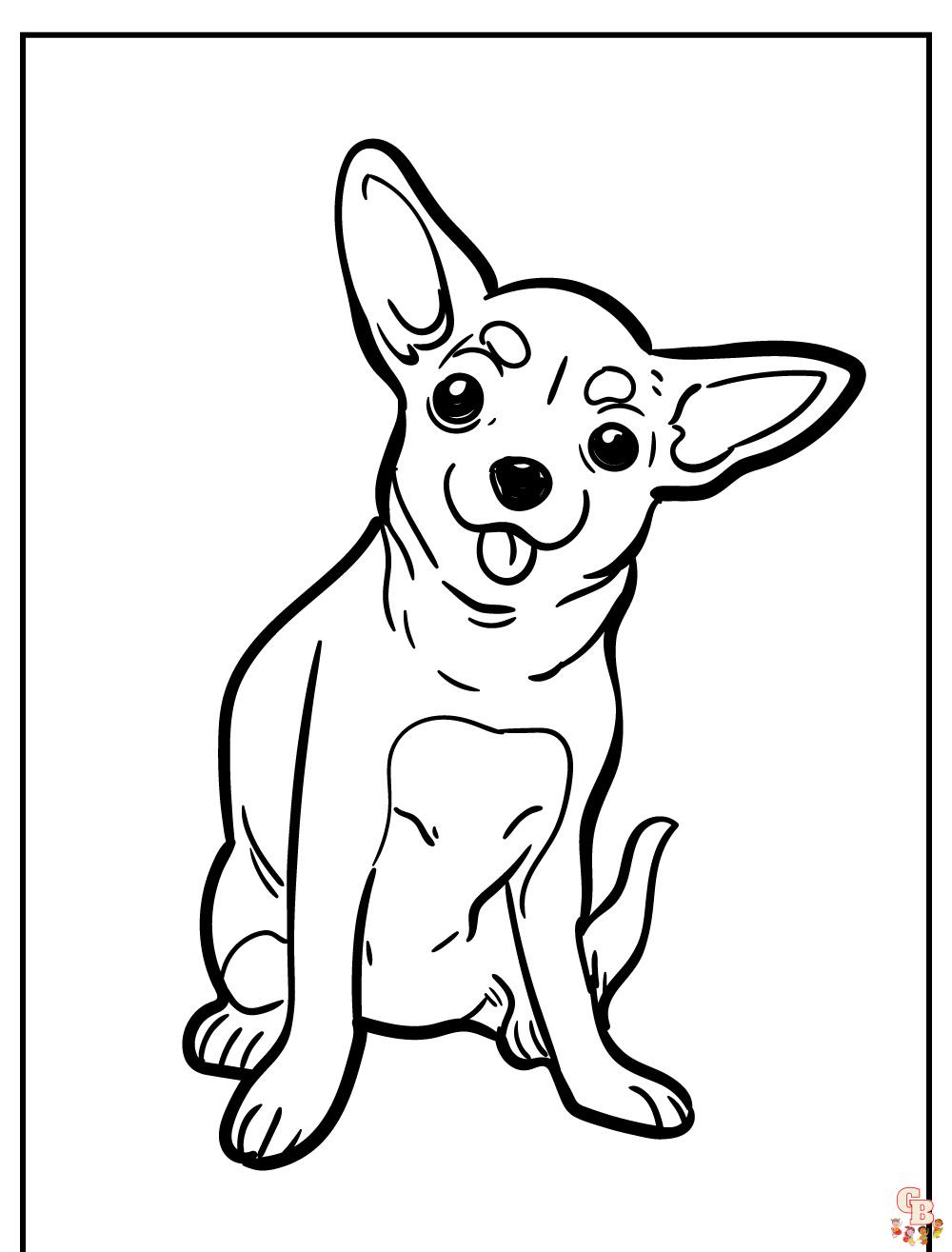 Chihuahua Coloring Pages 3