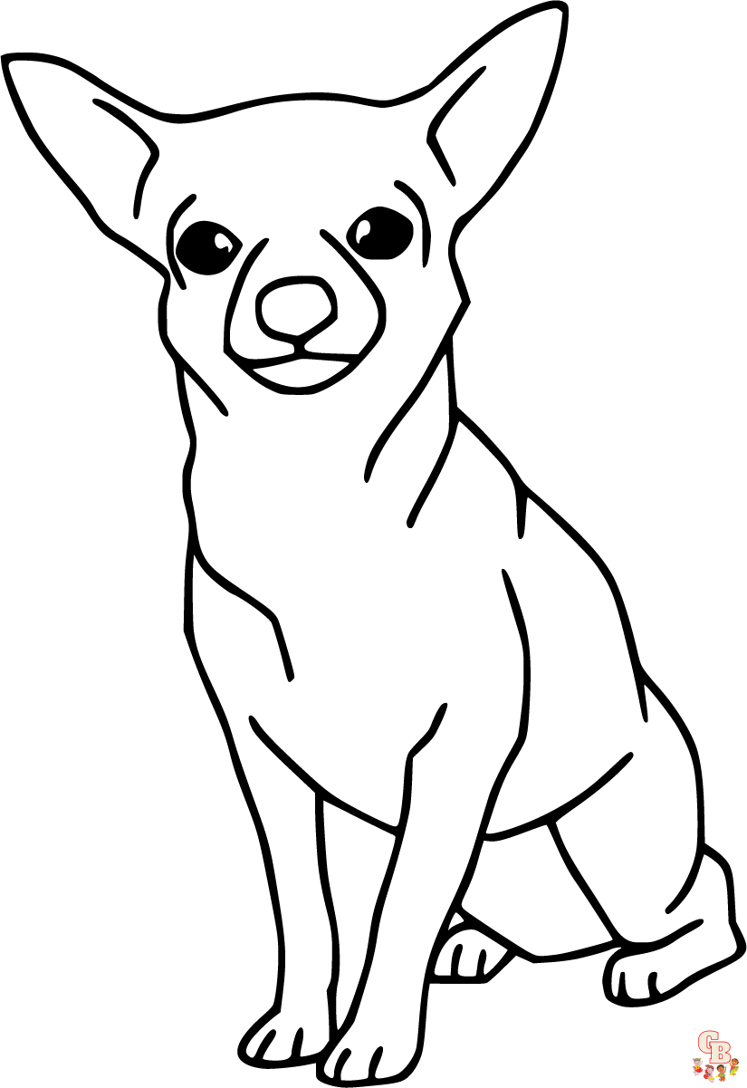 Chihuahua Coloring Pages 3