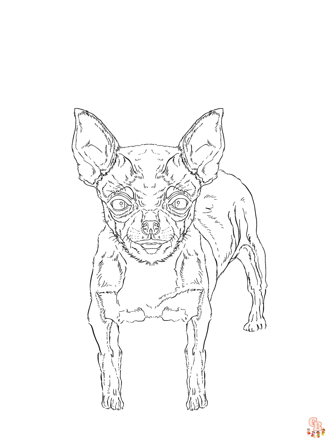 Chihuahua Coloring Pages 4