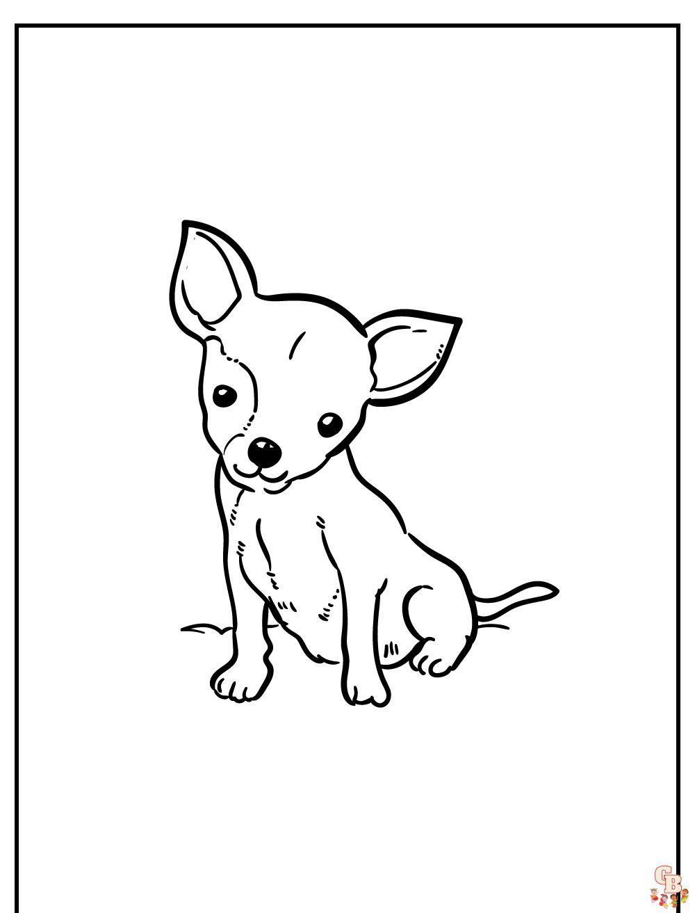 Chihuahua Coloring Pages 7