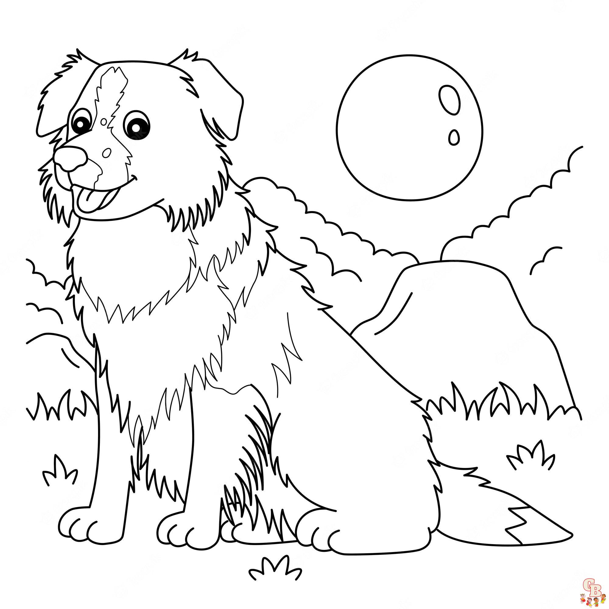 Collie Coloring Pages 2