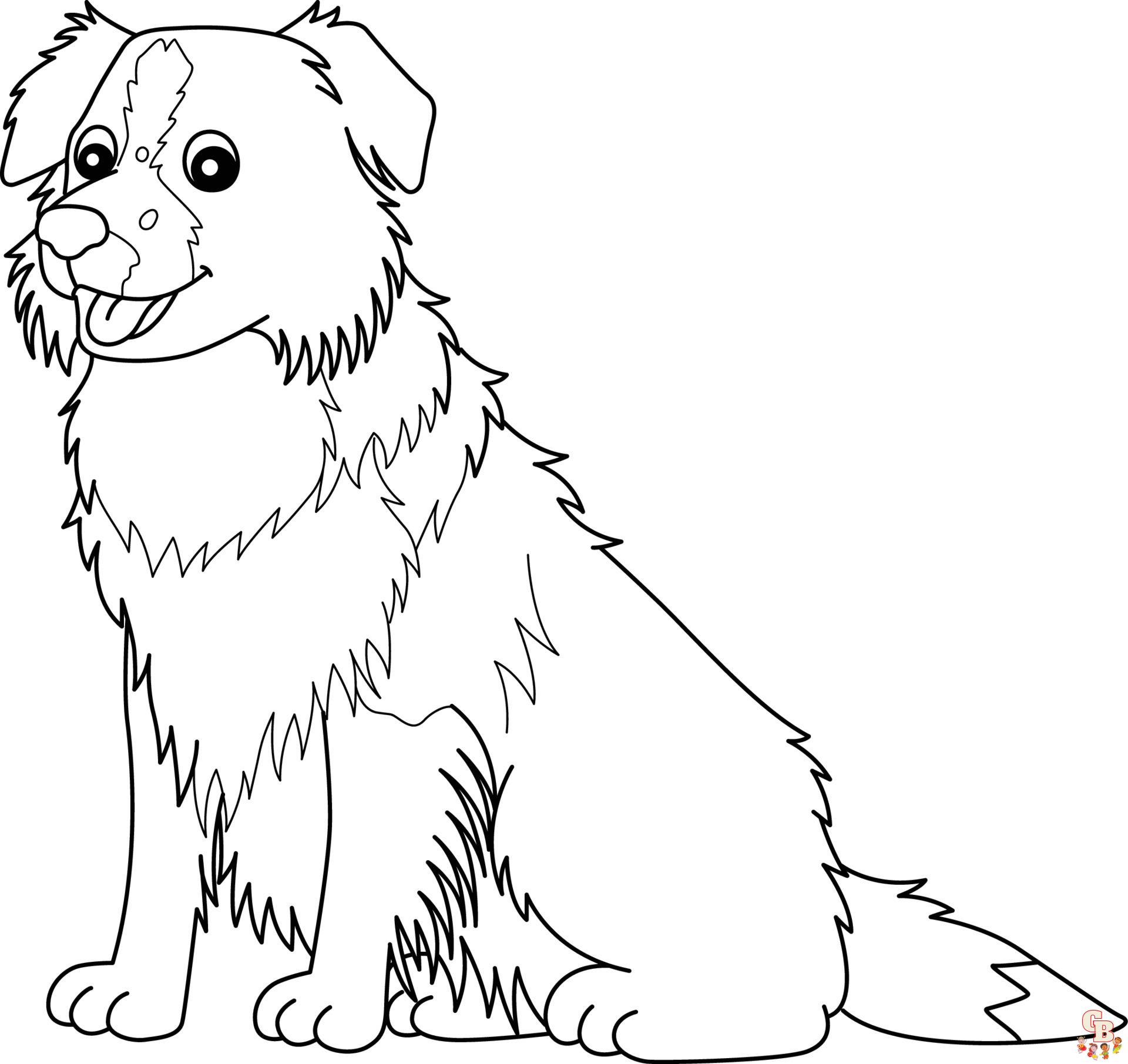 Collie Coloring Pages 3