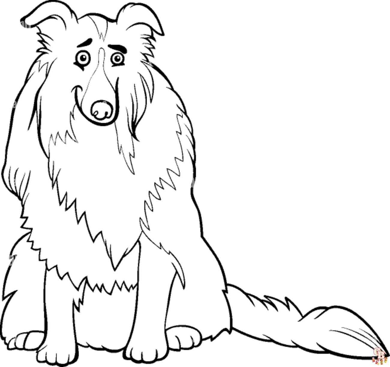 Collie Coloring Pages 4