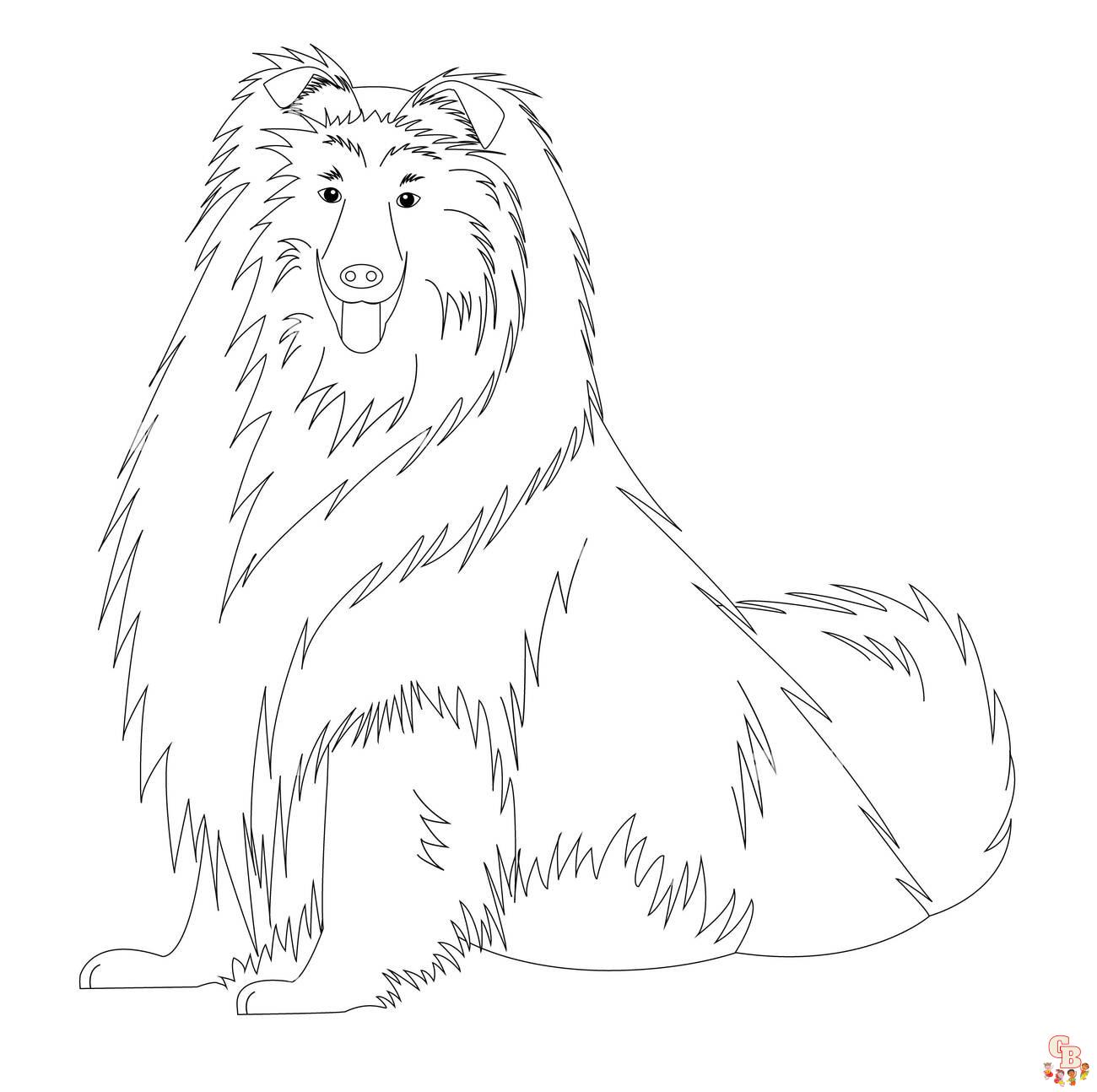 Collie Coloring Pages 5