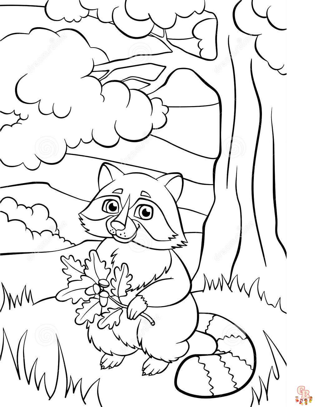 Cute Raccoon Coloring Pages 2