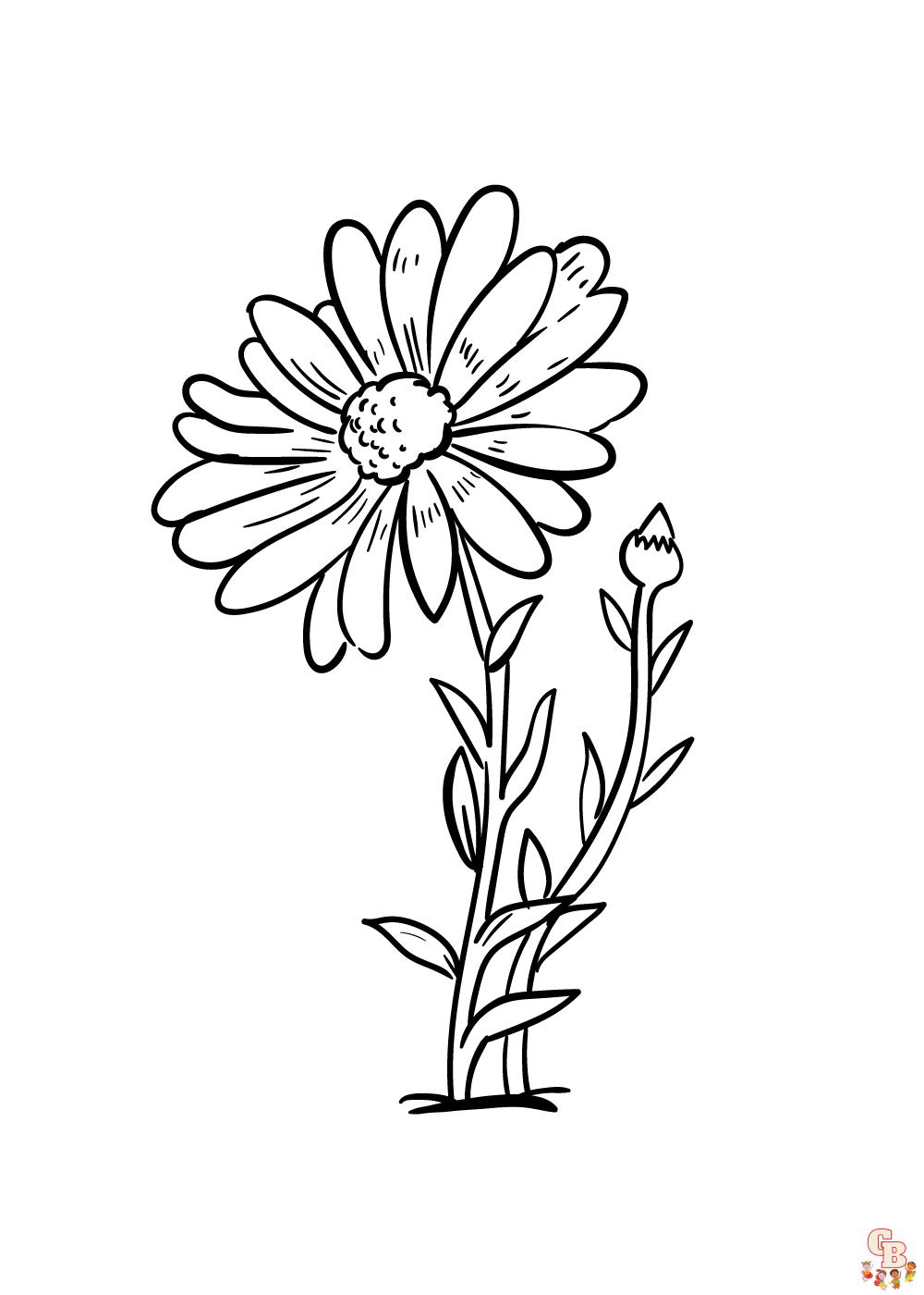 Daisy Coloring Pages 11