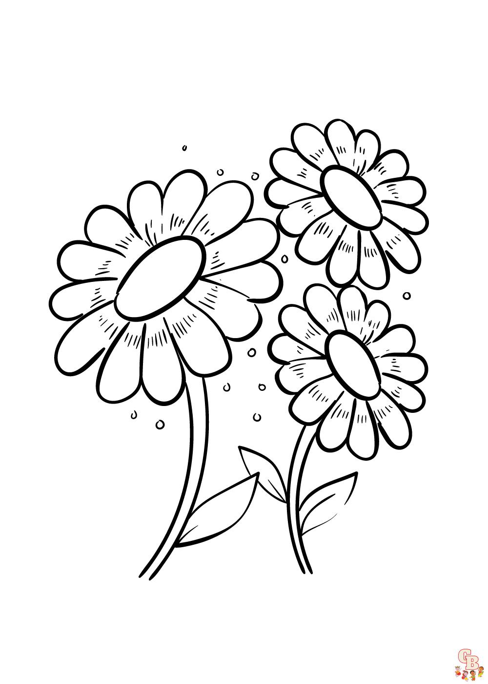 Daisy Coloring Pages 12