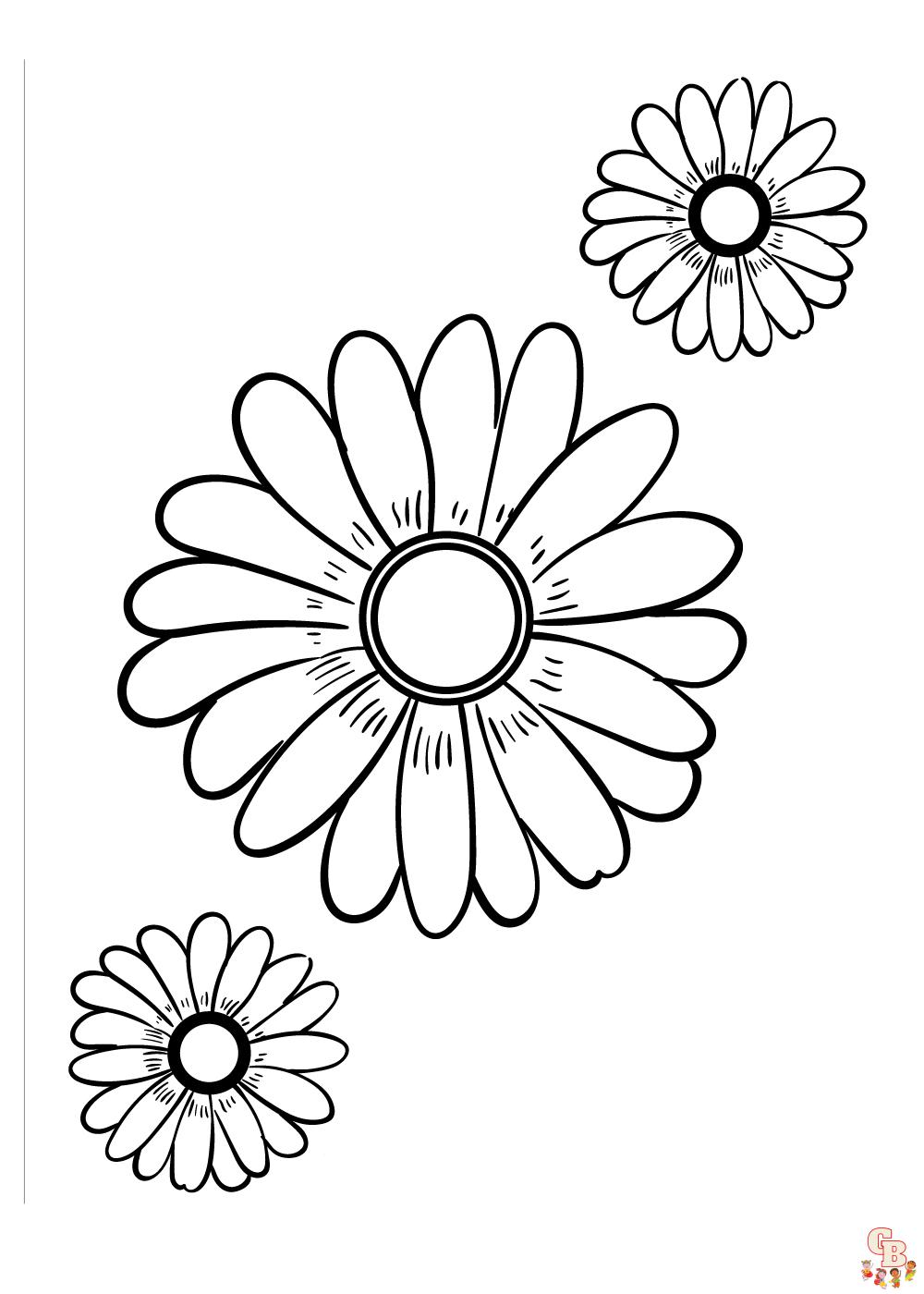 Daisy Coloring Pages 13