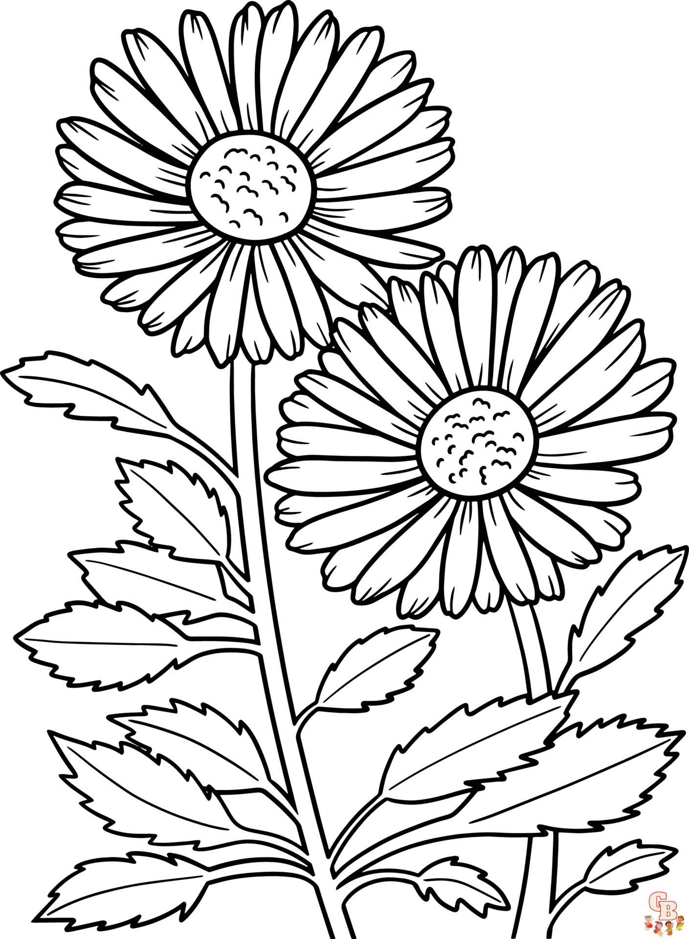 Daisy Coloring Pages 17