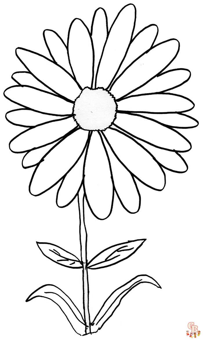 Daisy Coloring Pages 8
