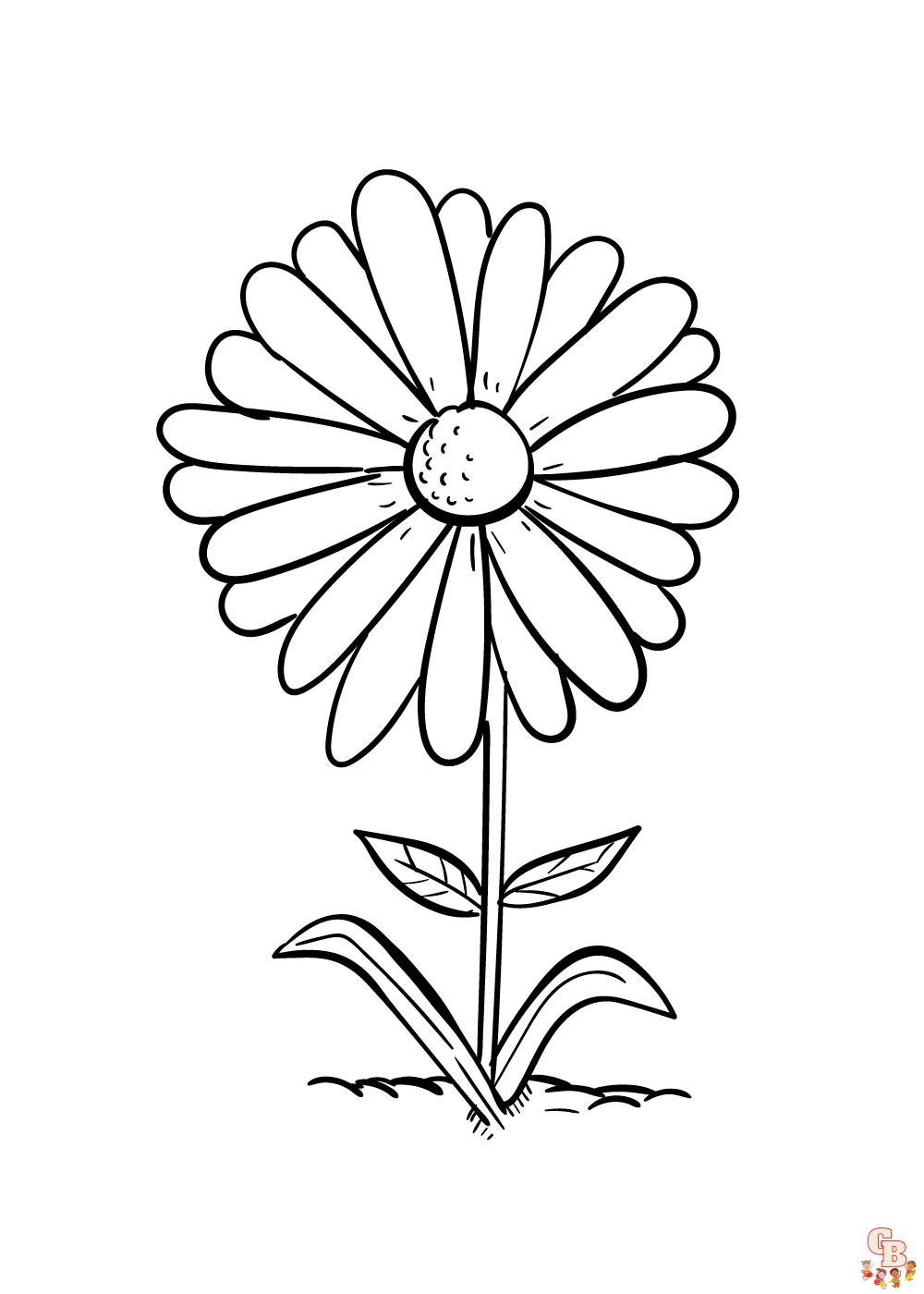 Daisy Coloring Pages 9