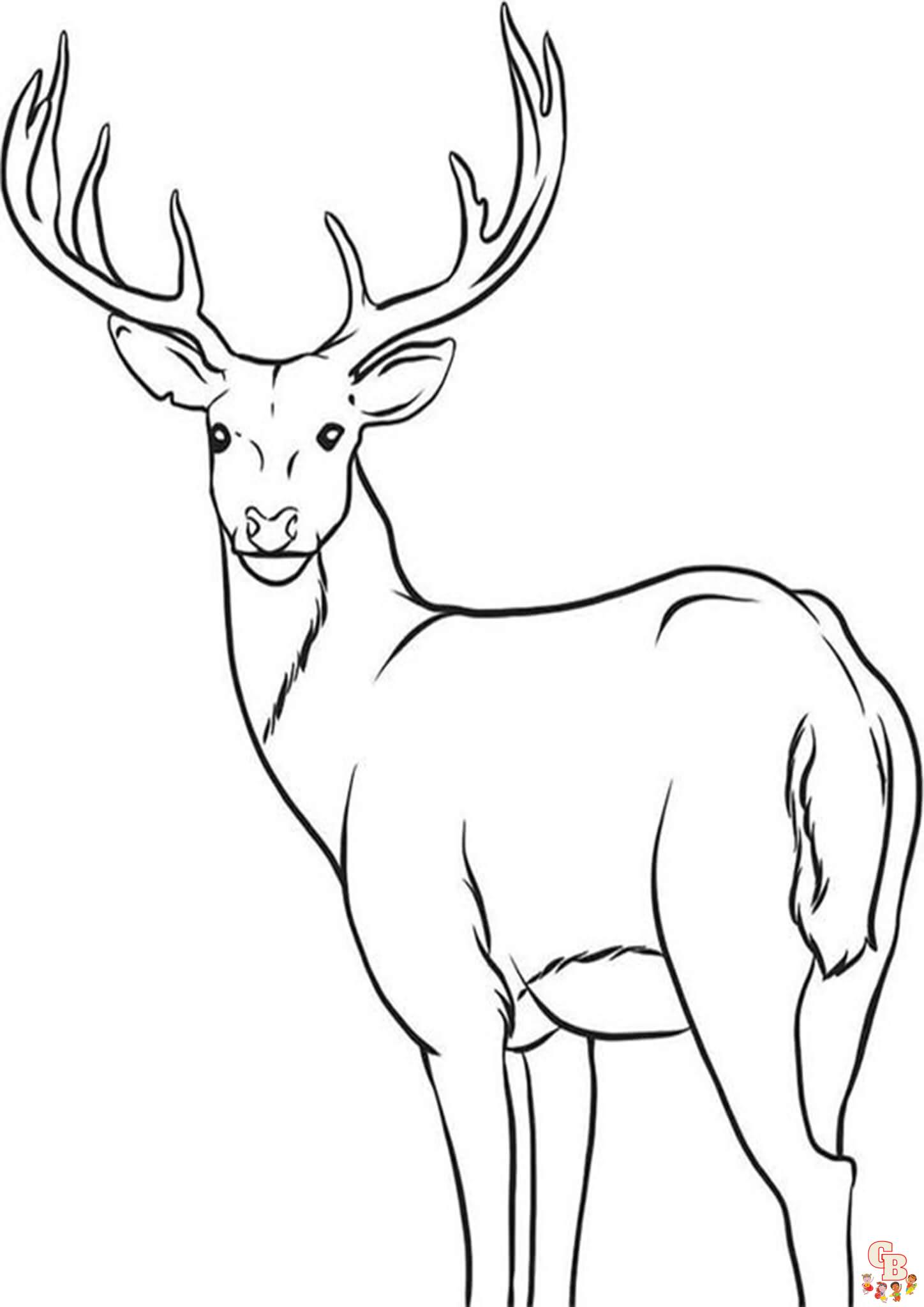 Deer Coloring Pages 3