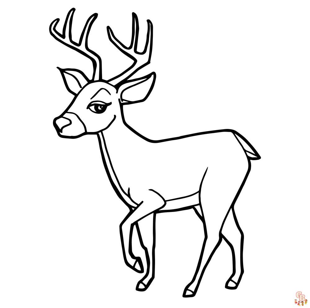 Deer Coloring Pages 4
