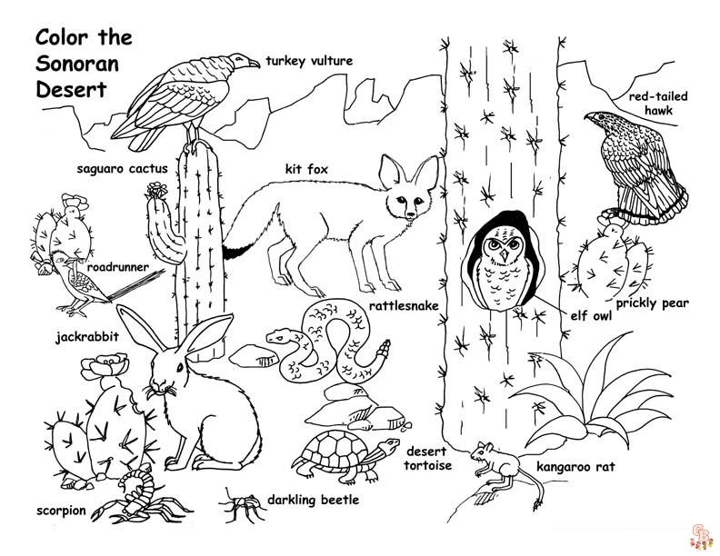 desert coloring pages