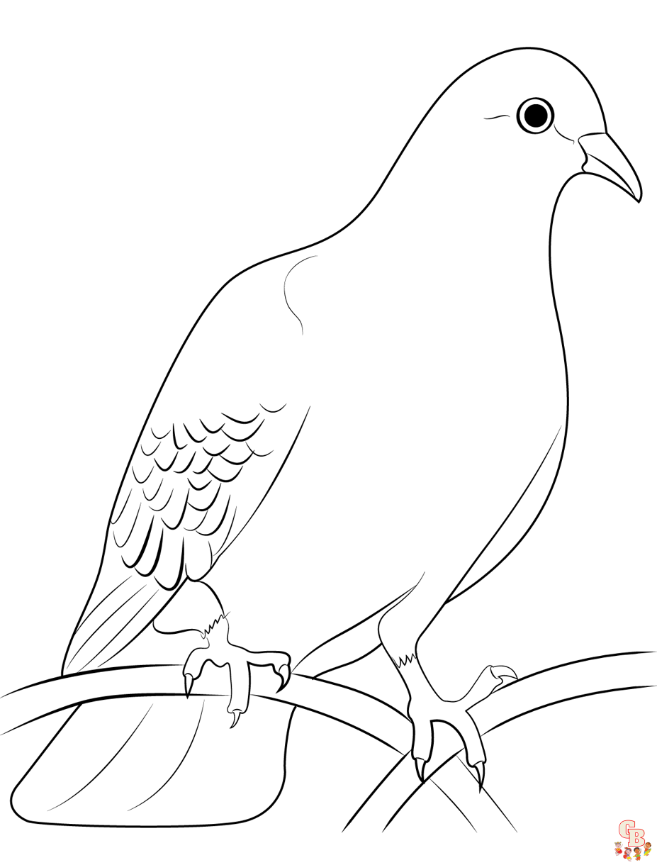 Dove Coloring Pages 2