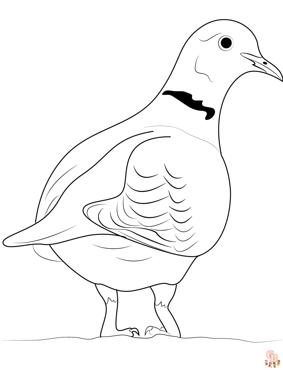 Dove Coloring Pages 7