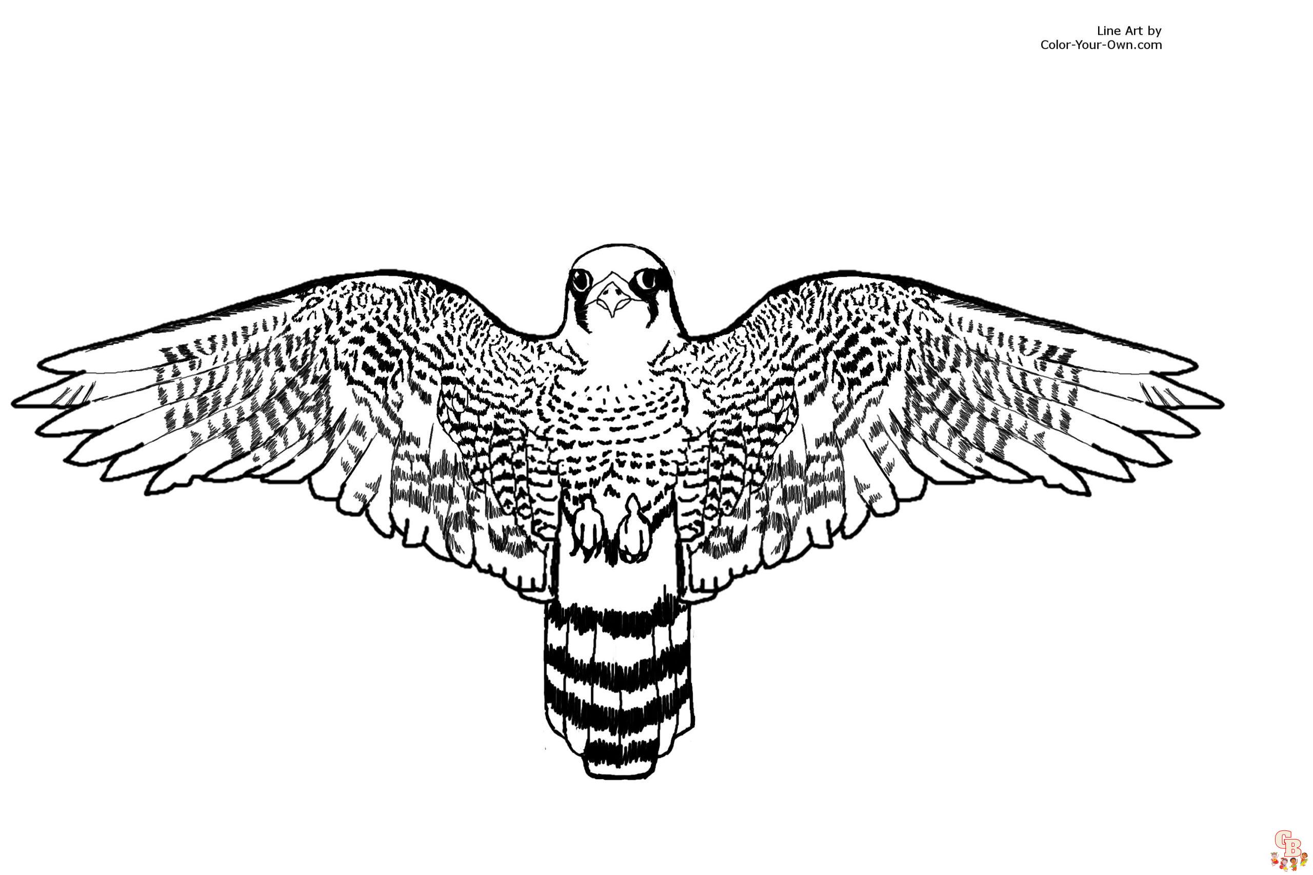 Falcon Coloring Pages 1
