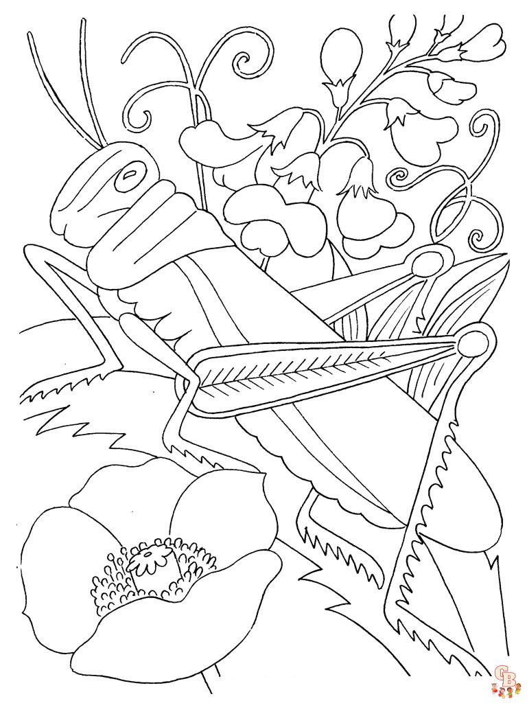 Grasshopper Coloring Pages 14
